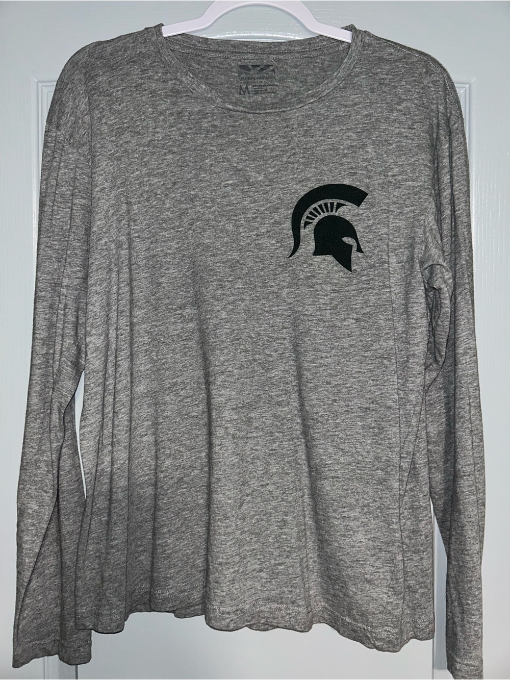 Gray Michigan State Skyline long sleeve shirt